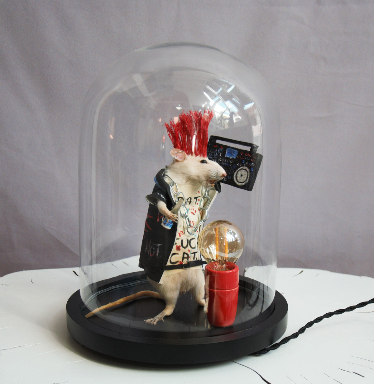 Cabinet de curiosités oddities , rat punk naturalisé sous globe. Pièce unique.