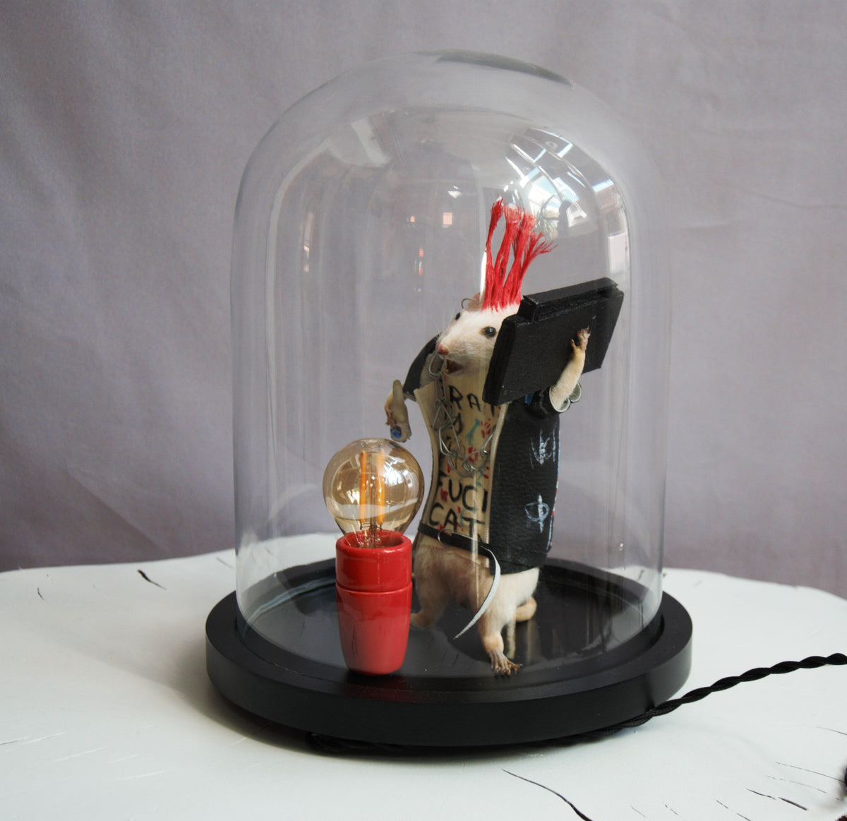 Cabinet de curiosités oddities , rat punk naturalisé sous globe. Pièce unique.