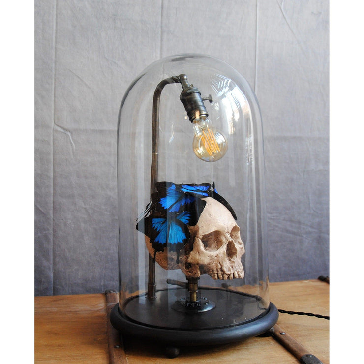 Gothic Skull Steampunk Lamp Living Room Decor, cabinet of curiosities Style Skull and Butterflies Desk Lamp, Farmhouse Decor Lamp 2022 - Letempsdesbelleschoses