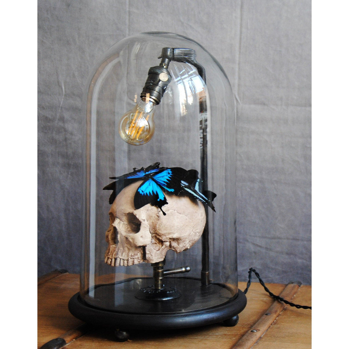 Gothic Skull Steampunk Lamp Living Room Decor, cabinet of curiosities Style Skull and Butterflies Desk Lamp, Farmhouse Decor Lamp 2022 - Letempsdesbelleschoses
