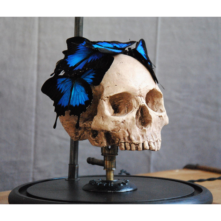 Gothic Skull Steampunk Lamp Living Room Decor, cabinet of curiosities Style Skull and Butterflies Desk Lamp, Farmhouse Decor Lamp 2022 - Letempsdesbelleschoses